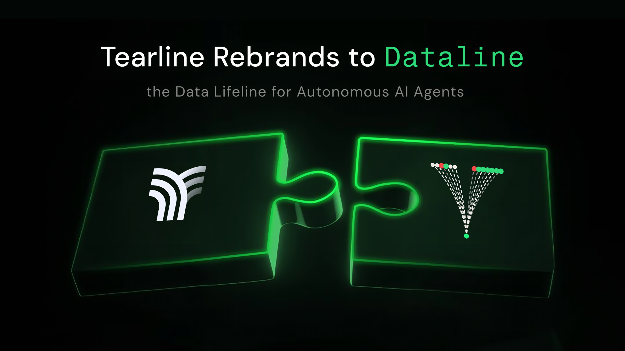 Tearline rebrands to Dataline